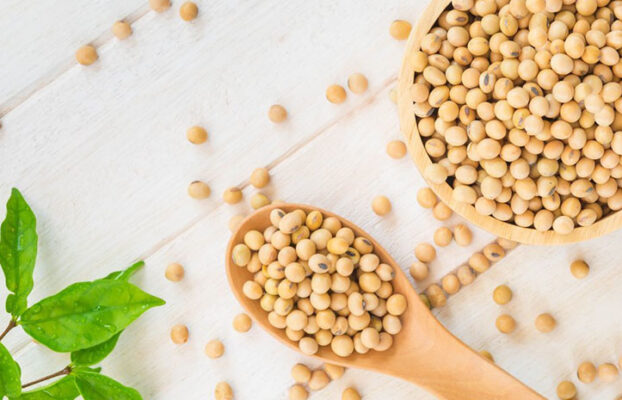 Soybean protein peptide